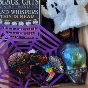 HALLOWEEN DECOR AND COSTUMES -247
