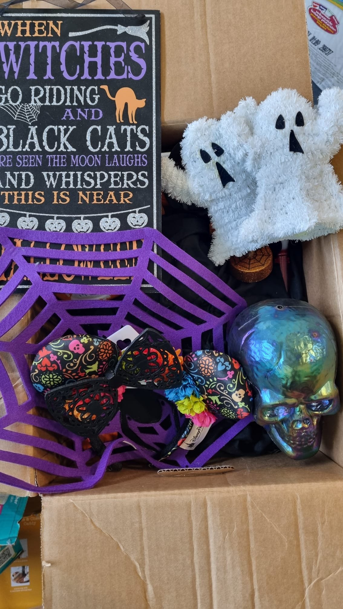 HALLOWEEN DECOR AND COSTUMES -247