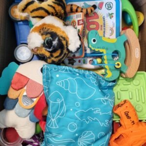 TOYS - SMALL- 313