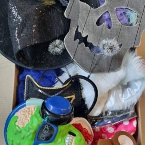 HALLOWEEN DECOR AND COSTUMES -492
