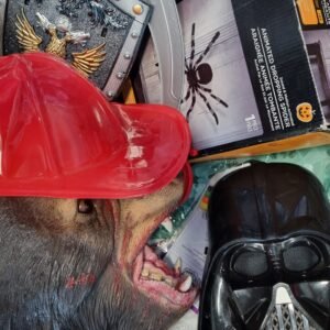 HALLOWEEN DECOR AND COSTUMES -627