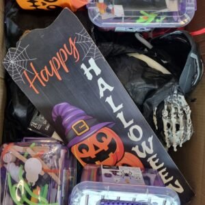HALLOWEEN DECOR AND COSTUMES -790